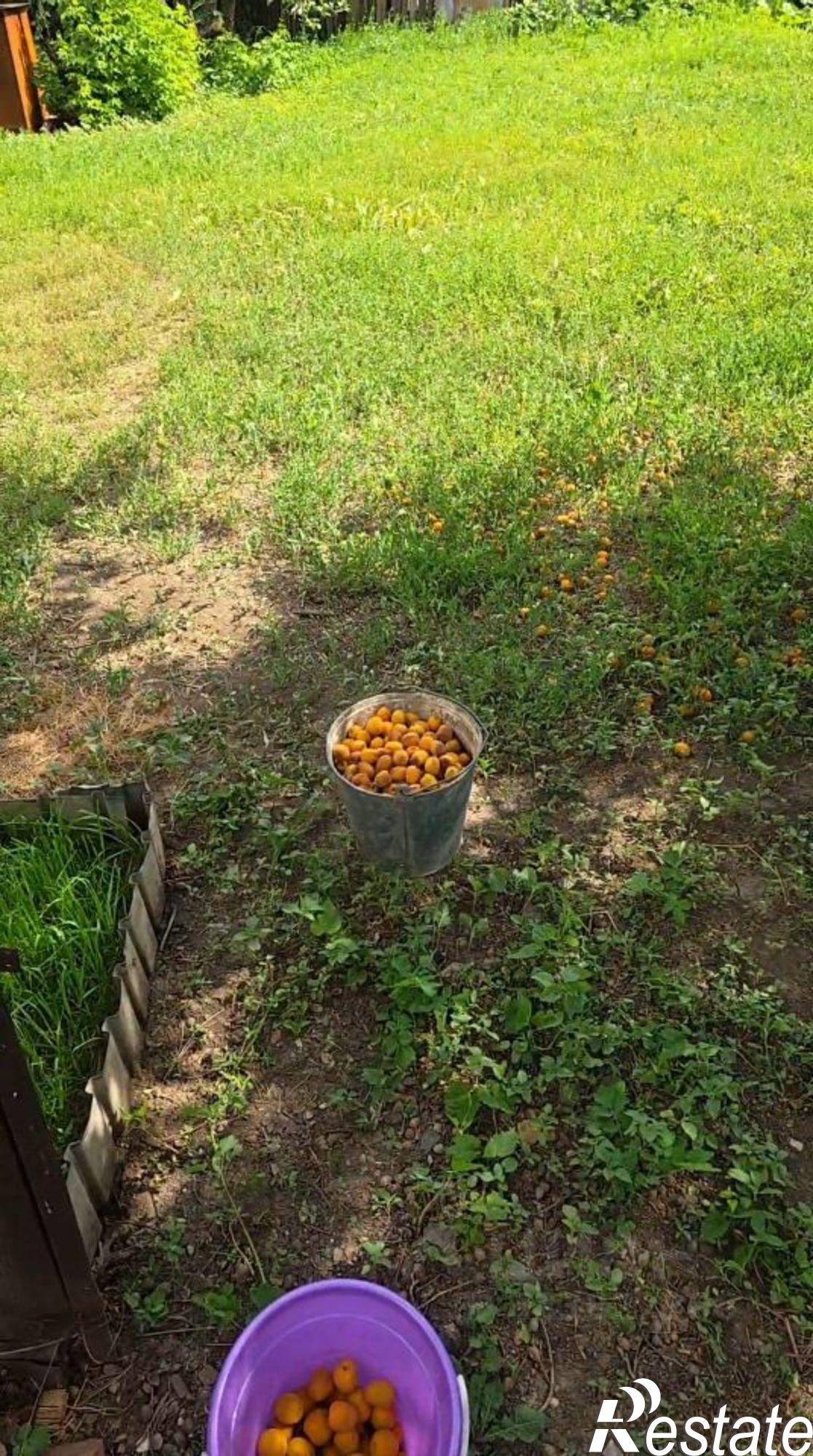 Купить дачу, дом, коттедж за 2 900 000 рублей на Болотная улица, 18