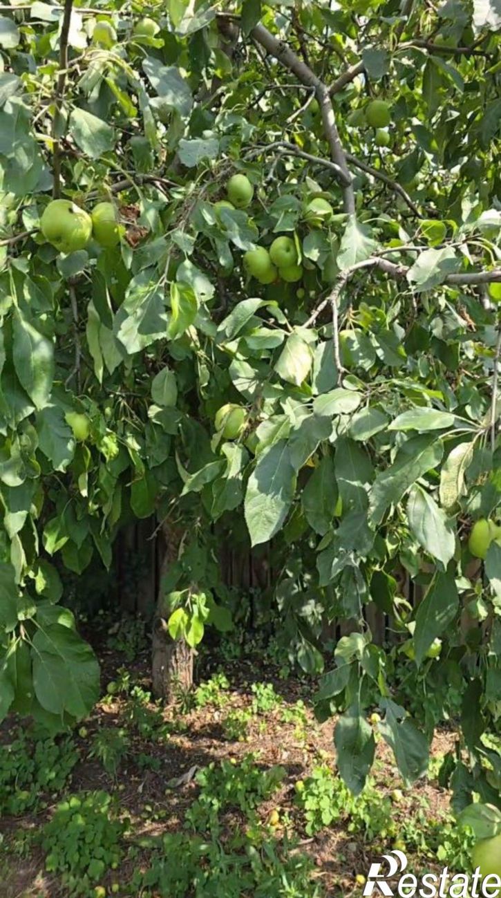 Коттедж/дом Болотная улица, 18,  д. 18