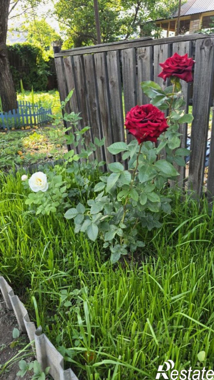 Коттедж/дом Болотная улица, 18,  д. 18