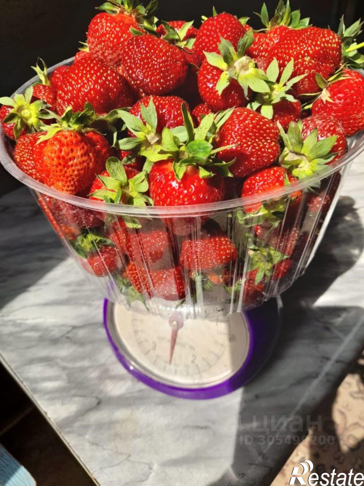 Купить землю, земельный участок за 350 000 рублей на СНТ № 7 ОАО ОНОС